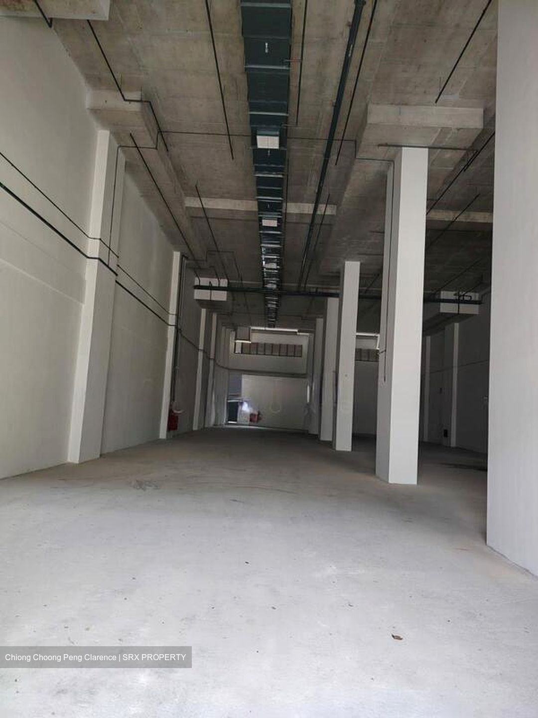 FOOD ASCENT (D22), Factory #523102491